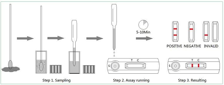 Canine Parvo Virus Antigen Rapid Test