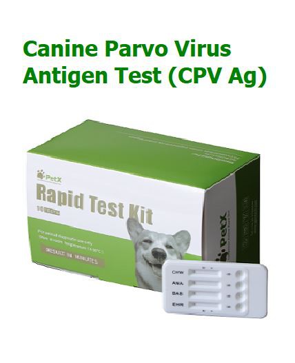 Šunų Parvo viruso antigeno greitasis testas
