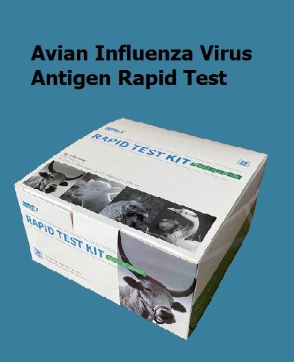 Tiesiog gripo viruso antigeno greitasis testas