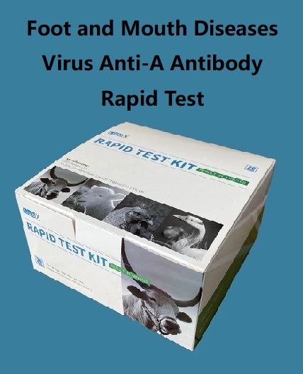 Galvijų FMDV{0}}Ab testas