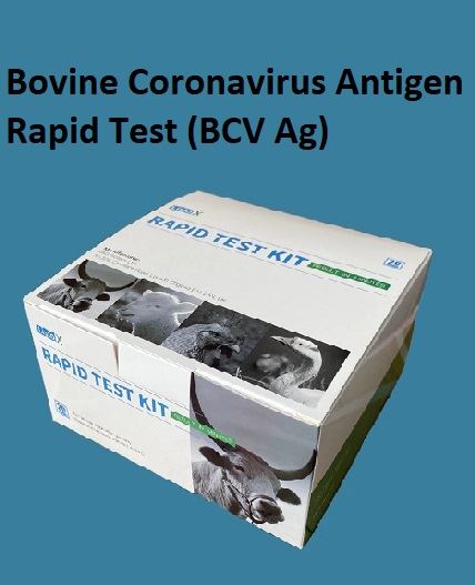 Galvijų koronaviruso antigeno greitasis testas (BCV Ag)